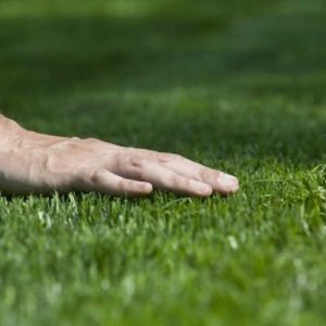 Lawn Care Stow Ohio